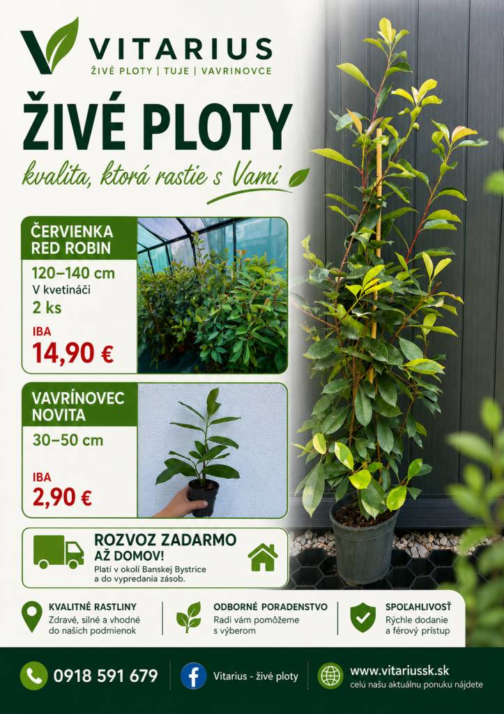 Vitarius živé ploty
