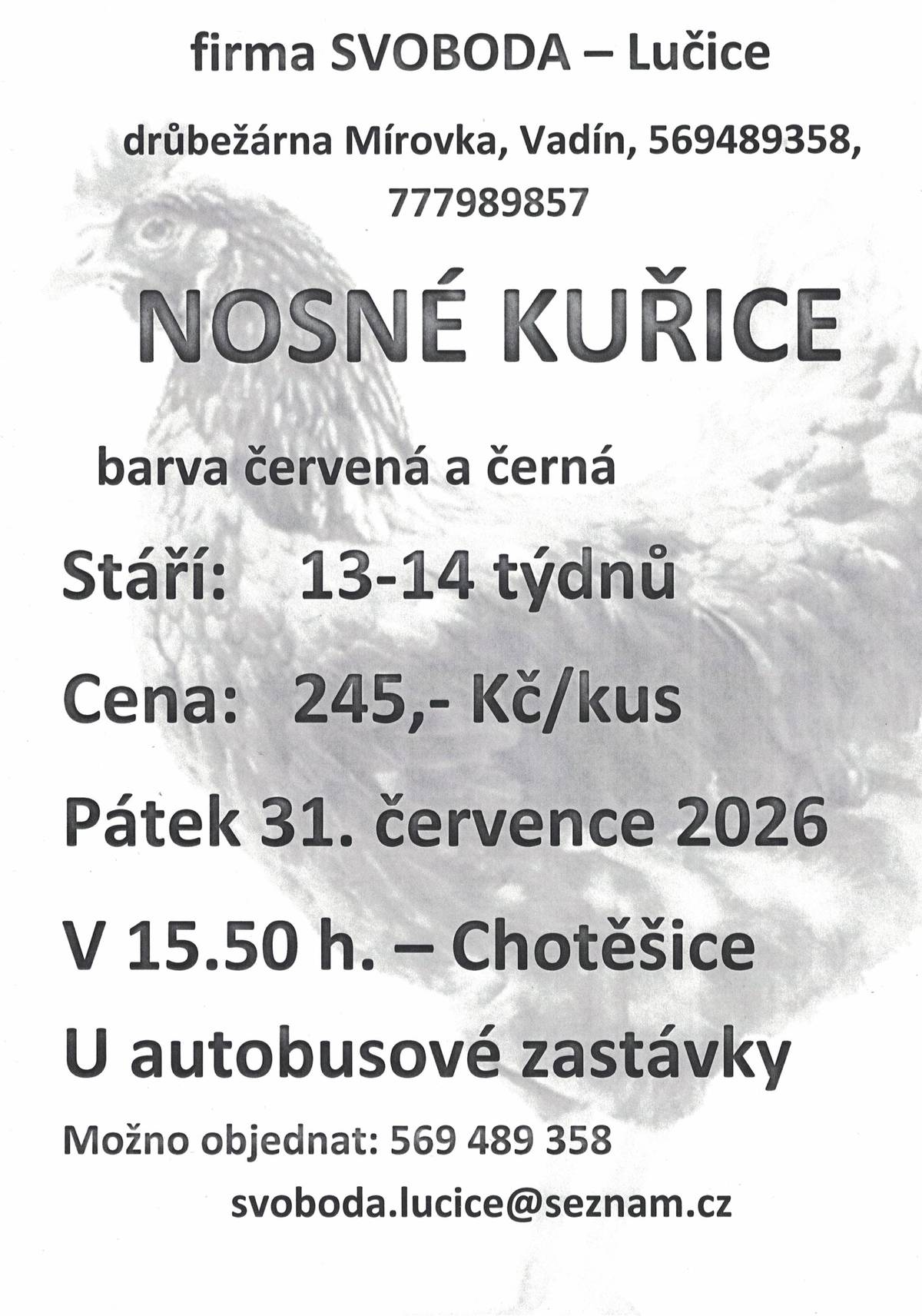 V pátek 31. 7. 2026 v 15. 50 v Chotěšicích u autobusové zastávky bude probíhat prodej nosných kuřic, stáří 13 - 14 týdnů, cena 245,-Kč/ks.