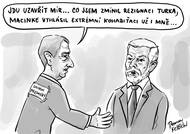 Turkova rezignace