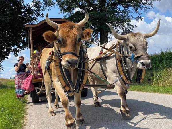 Tento festival je mezinárodním fenoménem, který můžete potkat v několika desítkách zemích světa. Skupina nadšenců v jeho rámci seznamuje širokou veřejnost s dávnou védskou moudrostí a kulturou, jejíž zbytky se nám dochovaly v dnešní Indii. A my máme to štěstí, že putující festival zavítá i k nám!