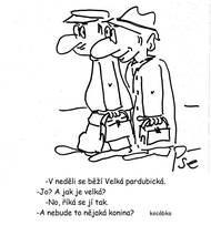 Velká