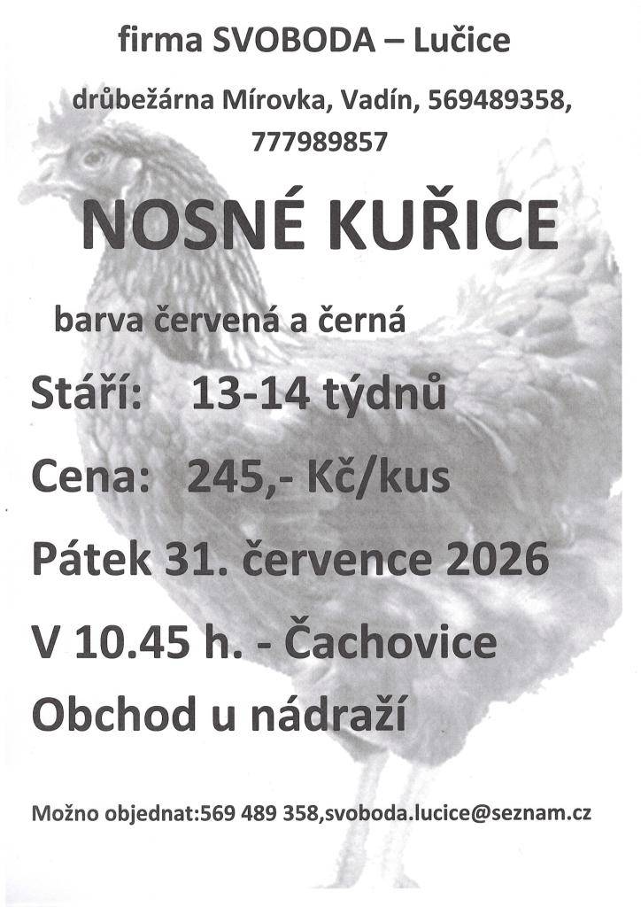 Firma Svoboda - Lučice nabízí k prodeji nosné kuřice v ceně 245,-/kus. Prodej proběhne v pátek 31.7.2026 v 10:45 v Čachovicích u nádraží.