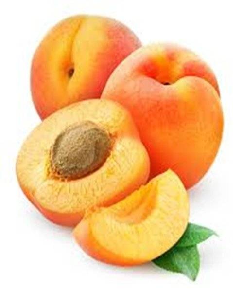 Súkromný pestovateľ bude dnes 17.7.2026 o 12:00 hod. pred Ocú predávať marhule, broskyne, nektarinky v cene 2,50 €/kg a čučoriedky v cene 8 €/kg. Predajca sa tu zdrží približne 30 minút.