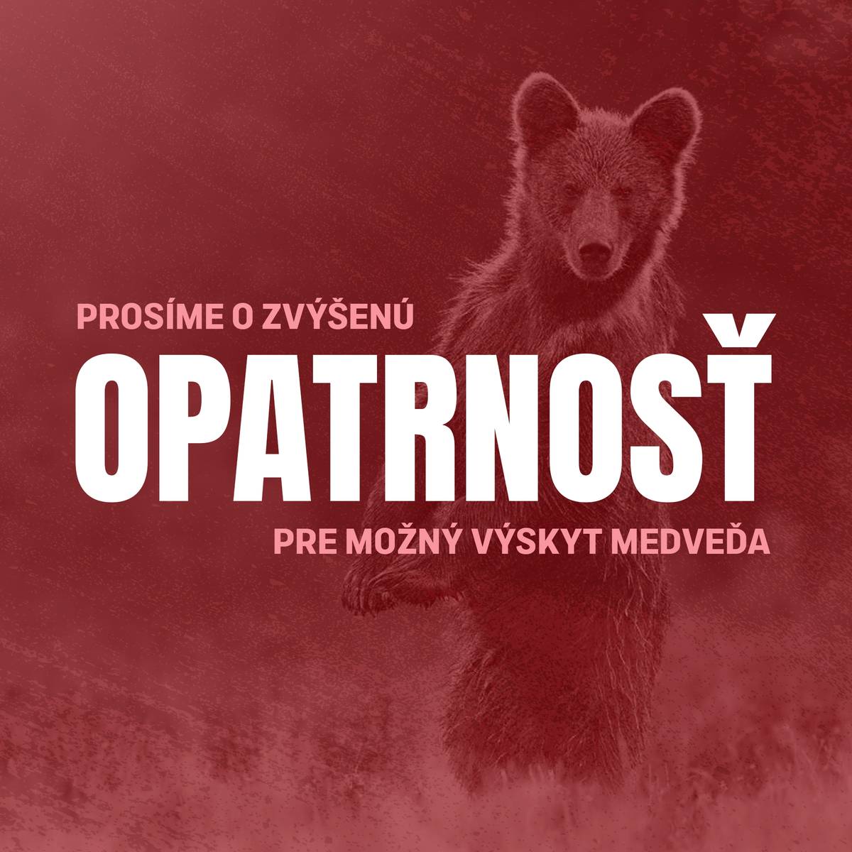 Vážení občania, dnes ráno sme prijali oznámenie o možnom výskyte medveďa na území nášho mesta. Na základe informácií od oznamovateľa bol spísaný úradný záznam. Občan, ktorý udalosť nahlásil, uviedol, že počas čakania na kolegu do práce na ulici Nad Predmestím spozoroval medveďa vychádzajúceho z krovia. Zviera následne ušlo smerom k záhradkárskej lokalite Zlodejovce. Momentálne toto oznámenie preverujeme priamo v teréne v spolupráci s poľovníkmi. Zatiaľ nemáme potvrdené, že sa medveď v Skalici skutočne nachádza. Napriek tomu vás prosíme o zvýšenú opatrnosť, najmä pri pohybe v okrajových častiach mesta, v blízkosti lesov a hustejších porastov. Ak medveďa spozorujete alebo spozorujete stopy jeho pohybu, nevystavujte sa nebezpečenstvu a ihneď kontaktujte Mestskú políciu Skalica na linke 159 alebo štátnu políciu na linke 158. O výsledku preverovania vás budeme informovať. Ďakujeme za pochopenie aj za zdieľanie tohto oznamu.