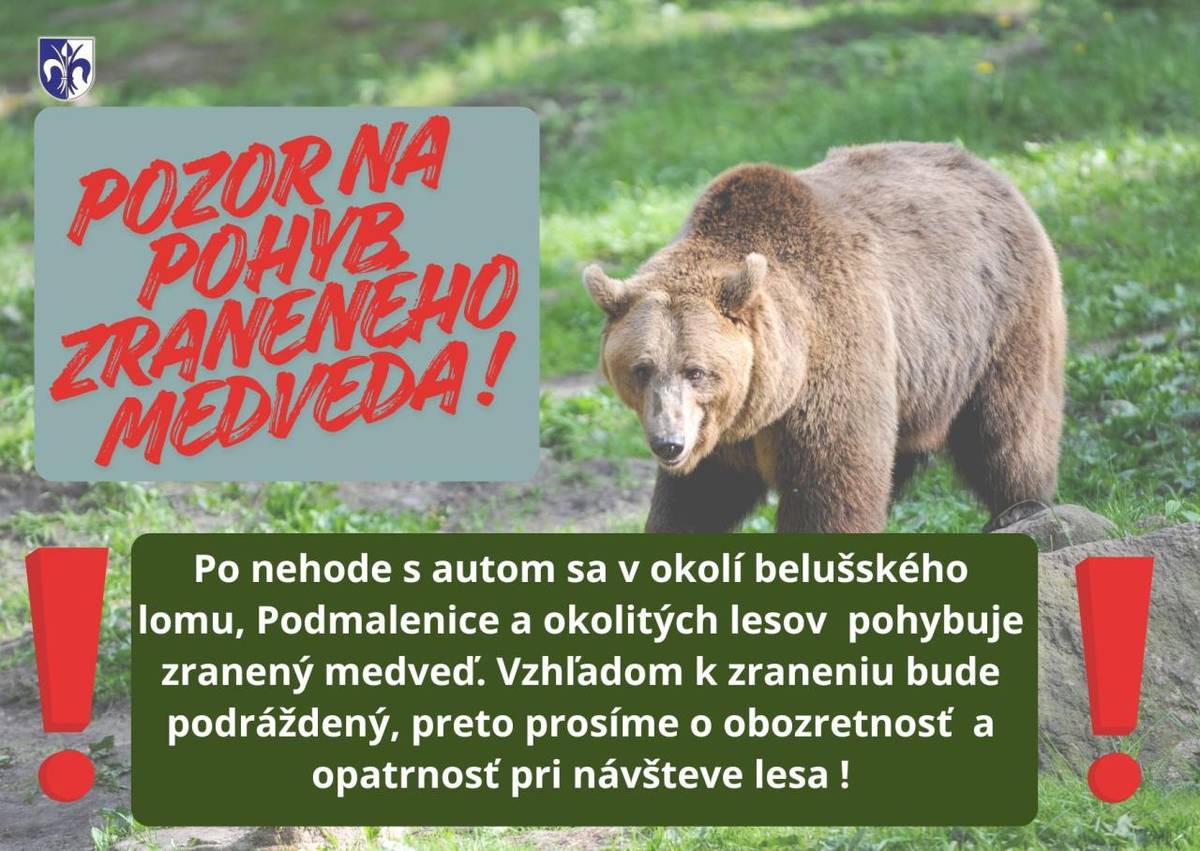 Upozorňujeme na výskyt zraneného medveďa po včerajšej večernej zrážke s autom. Pravdepodobne sa vyskytuje v okolí Podmalenice a blízkych lesov. Medveď je monitorovaný zásahovým tímom, dronmi i poľovníkmi. Keďže ide o zraneného jedinca, môže byť podráždený. Prosíme návštevníkov lesa o opatrnosť.