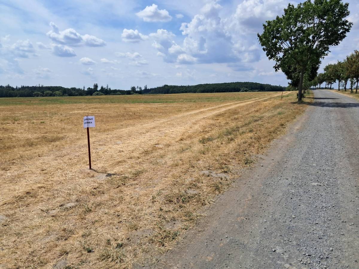 Žádáme všechny občany, aby v souvislosti s rekonstrukcí komunikace II/437 v úseku Skoky - Staměřice, používali pouze hlavní objízdnou trasu (od Brunoše kolem hřiště směr Staměřice) a nevytvářeli nové trasy po loukách a pastvinách soukromých majitelů a místních zemědělců. Buďme prosím všichni trpěliví, pokládka asfaltových vrstev již byla zahájena a hned jak to bude možné, tak bude zkušební provoz spuštěn na hlavní cestě.
