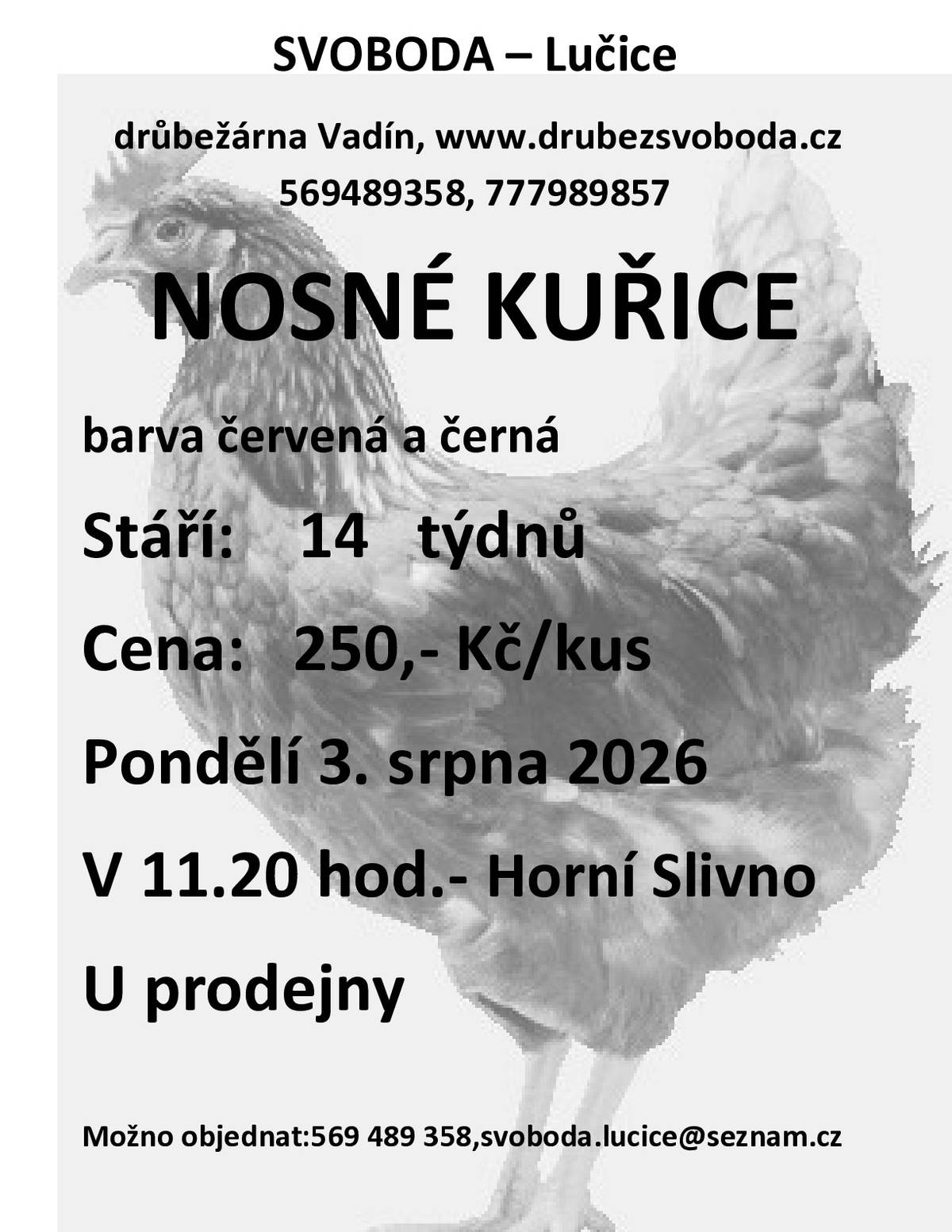 Firma Svoboda Lučice bude prodávat v pondělí 3. srpna 2026 v 11.20 hodin u obchodu nosné kuřice, stáří 14 týdnů, cena 250,- Kč/kus, barva červená a černá Objednání je možné na  tel. 569 489 358 nebo emailem svoboda.lucice@seznam.cz
