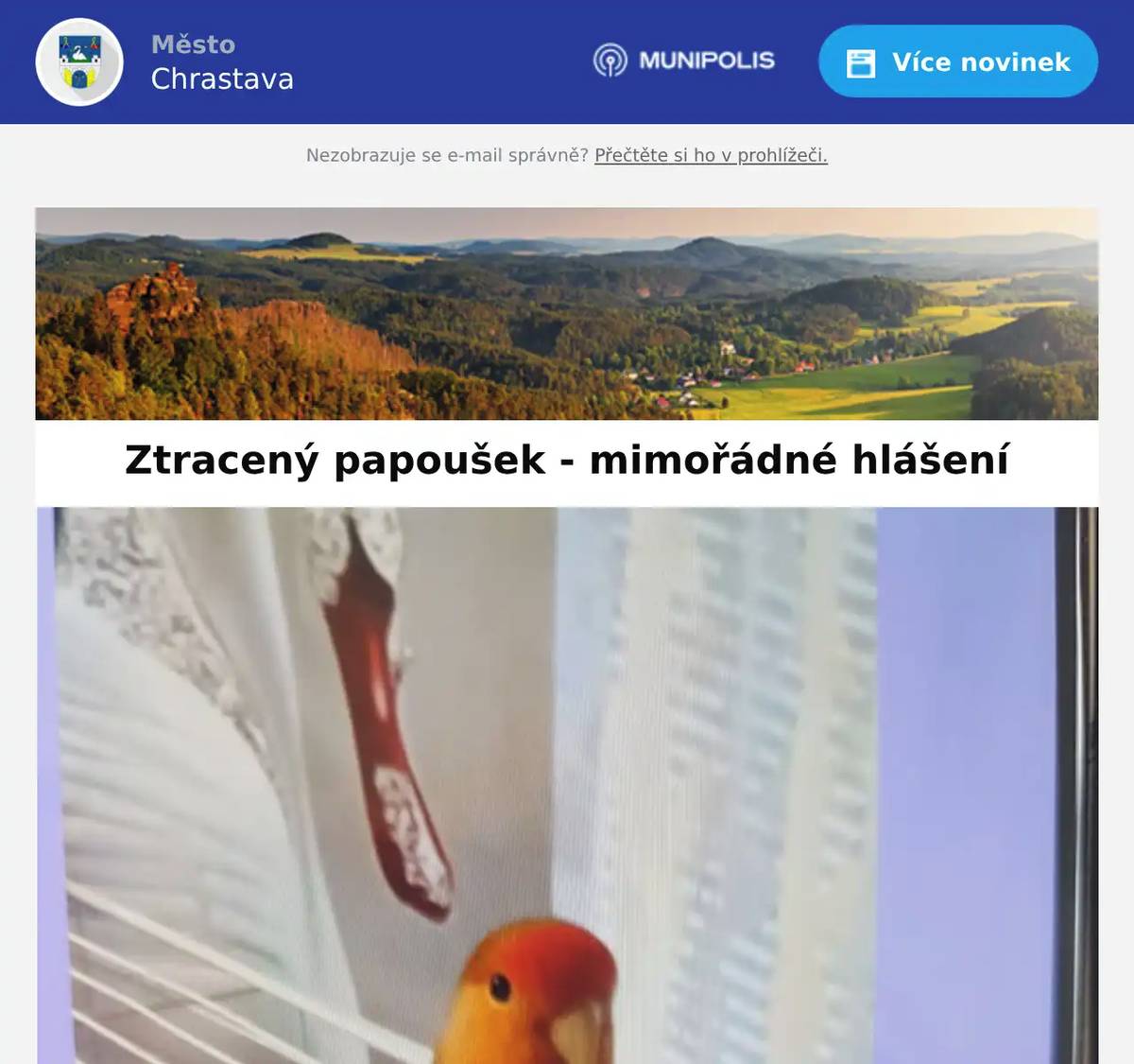 Ztratil se papoušek. Kontakt:  paní Gulyášová - tel. 704 139 359.