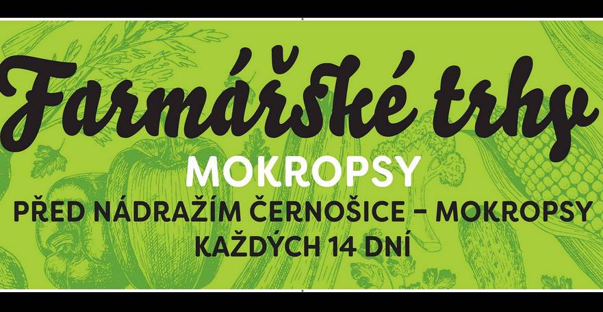 Koná se každou sudou sobotu. I letos se můžete těšit na doprovodný program pro děti. V rámci trhu bude opět fungovat blešák, můžete poslat dál věci, které už vám dosloužily.