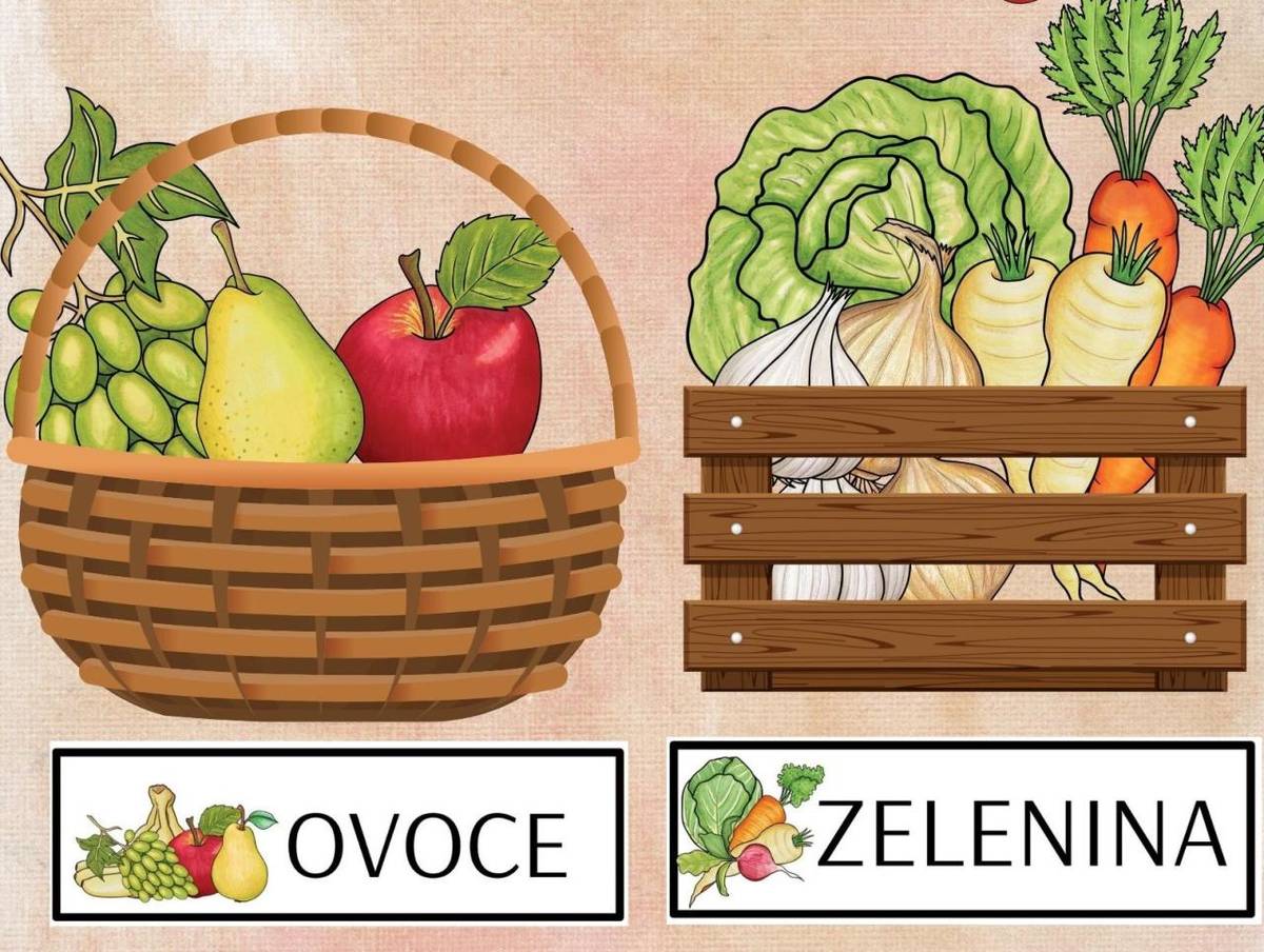 Zítra tj. ve čtvrtek 23.07.2026 přijedou do Libušína Sedláčkovi z Moravy a přivezou na prodej meruňky, broskve, nektarinky, nakládačky, přerostky, červenou řepu, česnek a cibuli.   Stánek najdete v době od 8-12h na náměstí.