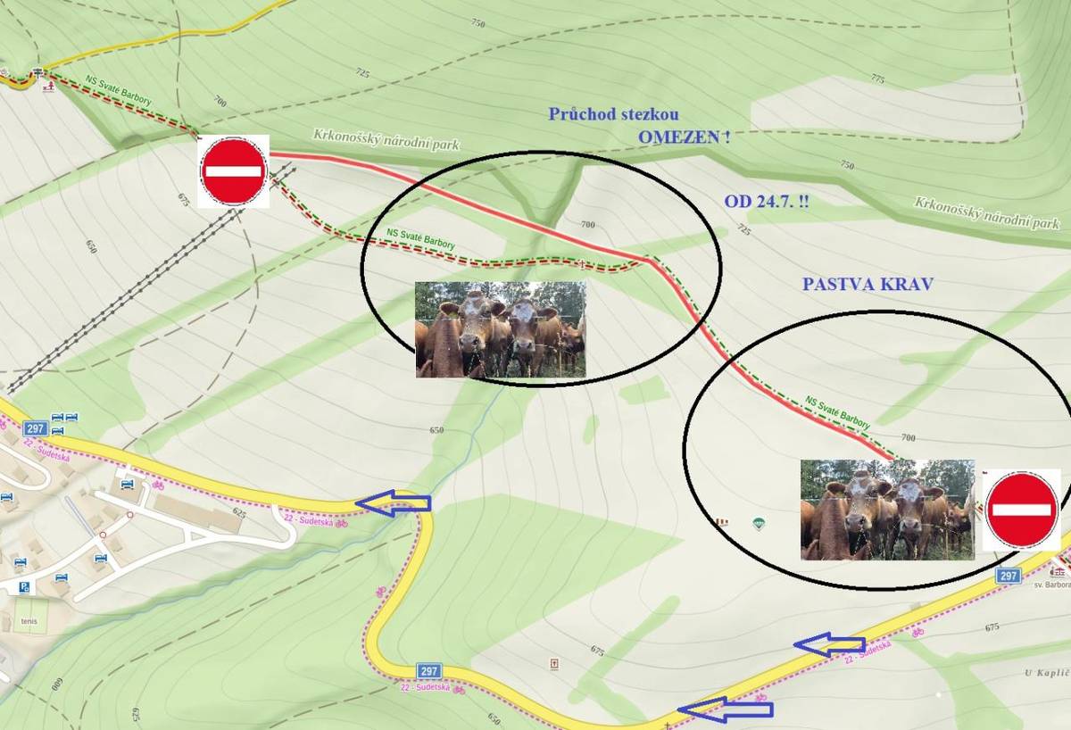 Omezení průchodu na Naučné stezce sv. Barbory – pastva dobytka.