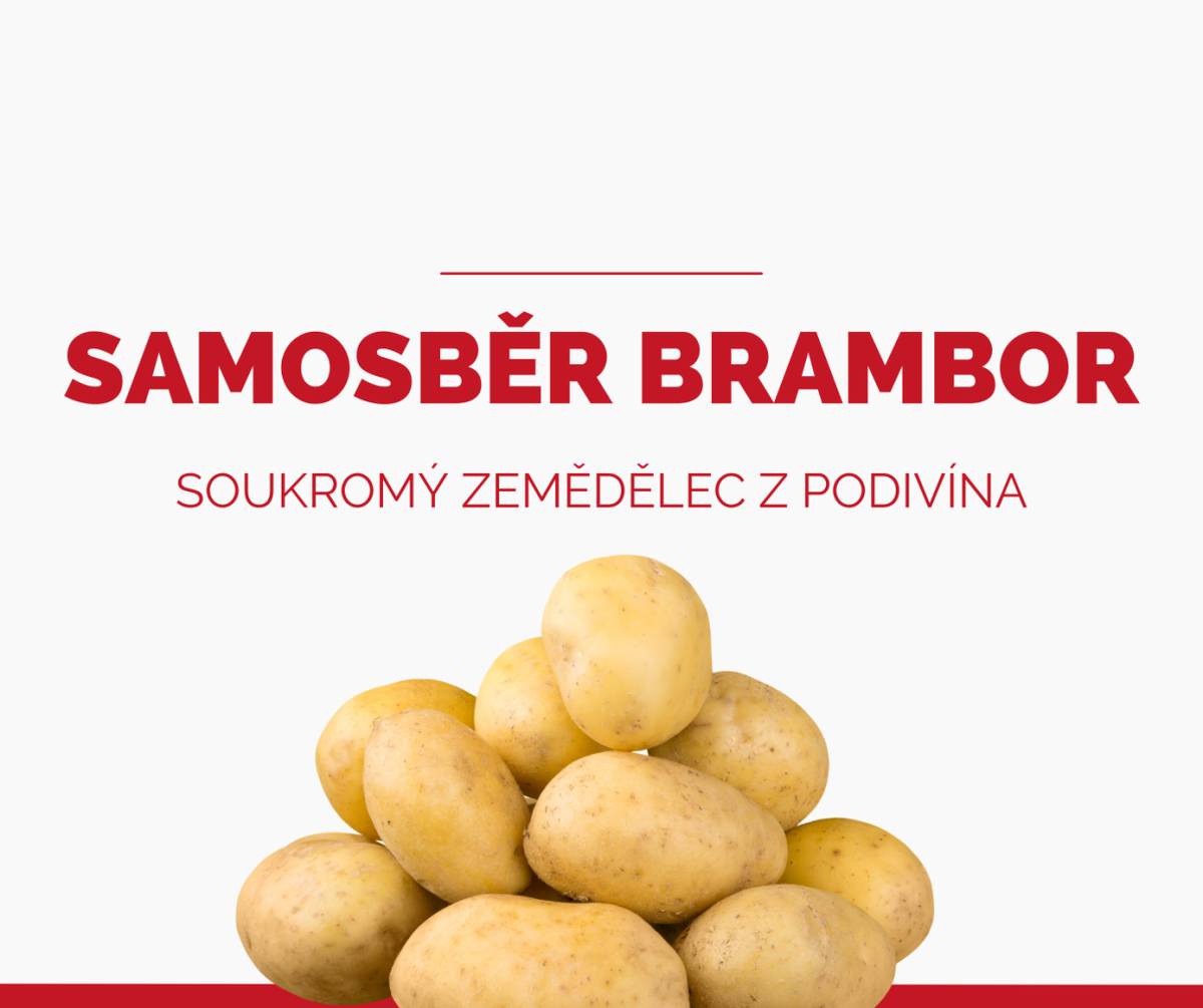 Kdy: PÁTEK 24.7.2026 od 15:00 - 18:00 SOBOTA 25.7.2026 od 7:00 do 11:00  Kde: areál bývalého třešňového sadu směrem na Velké Bílovice
