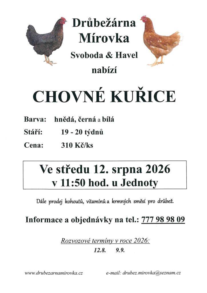 středa 12.srpna v 11:50 hodi