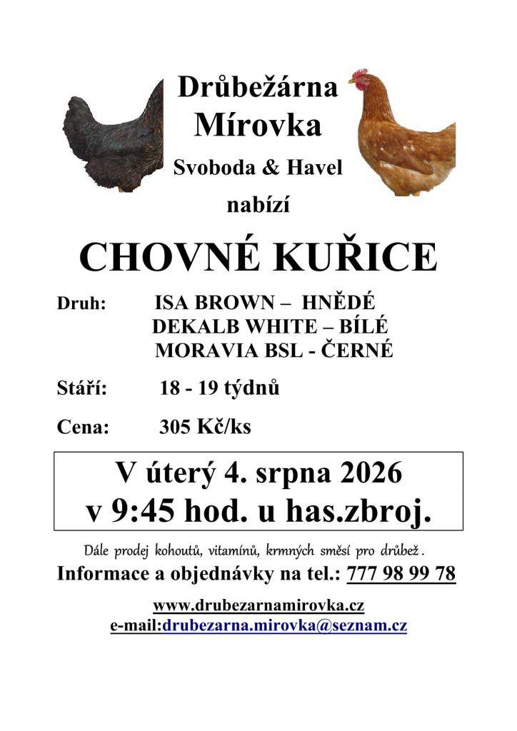 Drůbežárna Mírovka nabízí chovné kuřice různých plemen, konkrétně ISA BROWN, DEKALB WHITE a MORAVIA BSL. Tyto kuřice jsou ve věku 18-19 týdnů a cena za kus činí 305 Kč. Prodej se uskuteční v úterý 4. srpna 2026 v 9:45 hod. u hasičské zbrojnice. Dále je k dispozici prodej kohoutů a další produkty pro