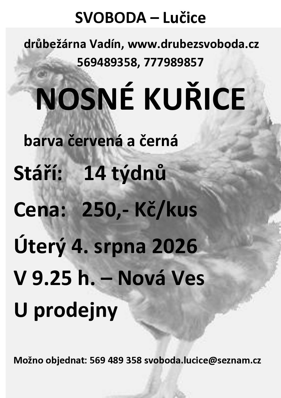 Dobrý den, níže letáček o prodeji nosných kuřic.