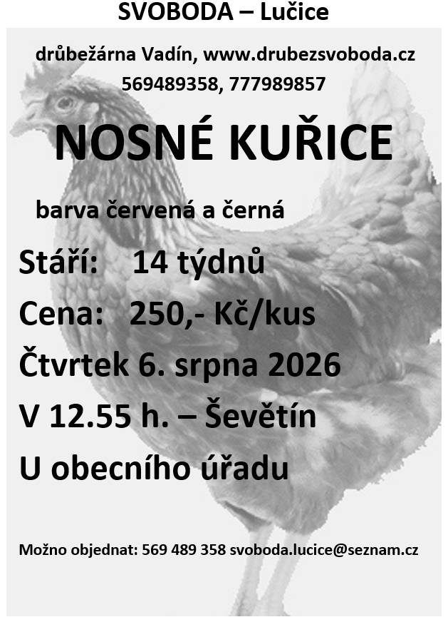 Ve čtvrtek 6. srpna 2026 ve 12:55 hodin bude u úřadu v Ševětíně probíhat prodej nosných kuřic (barva červená a černá) z drůbežárny Vadín - Svoboda Lučice. Cena 250,-/kus. Možno objednat: 569 489 358, svoboda.lucice@seznam.cz.
