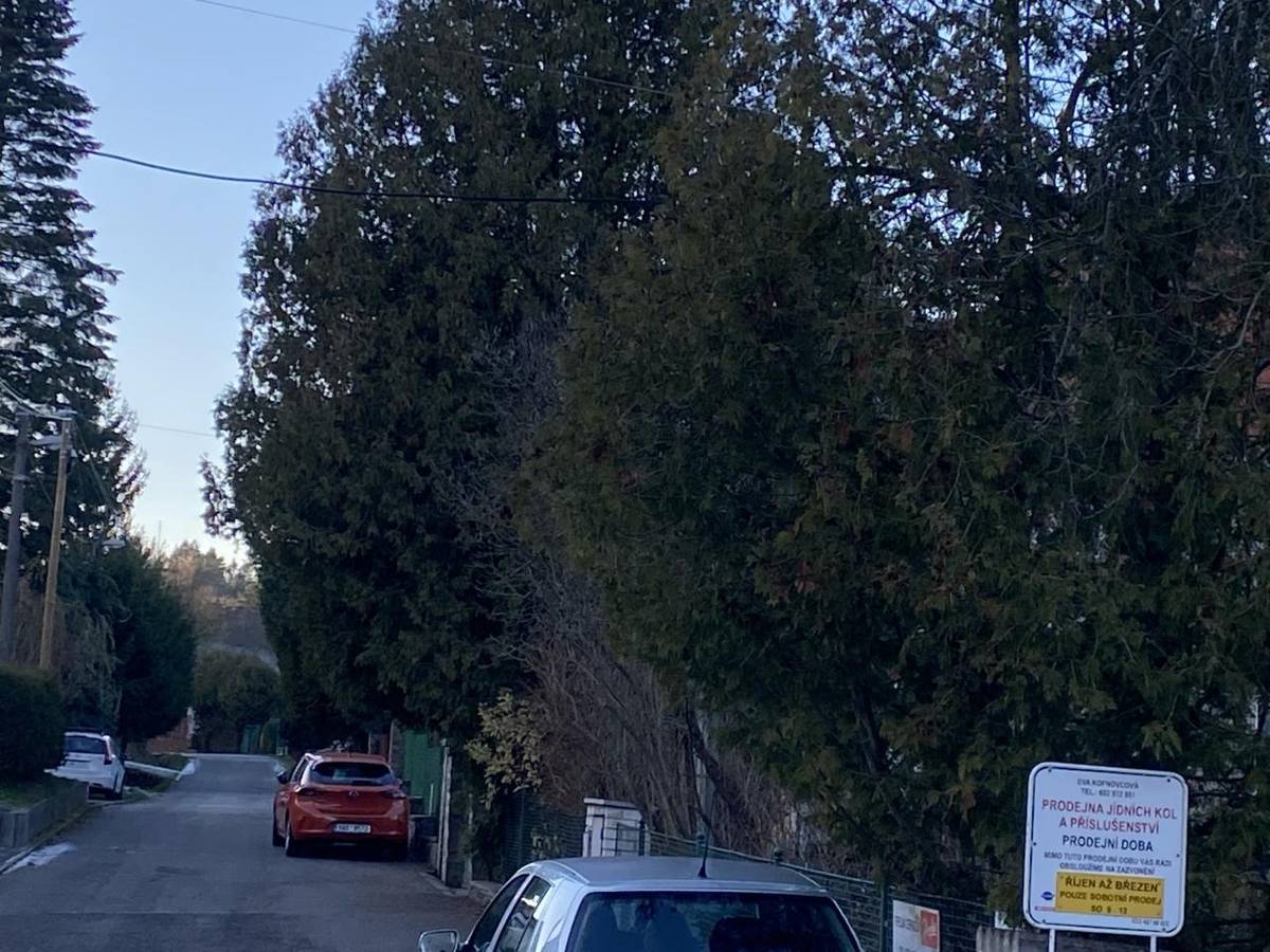 Upozornění k odstranění stromoví a jiných porostů - poslední výzva k samostatnému zásahu.
