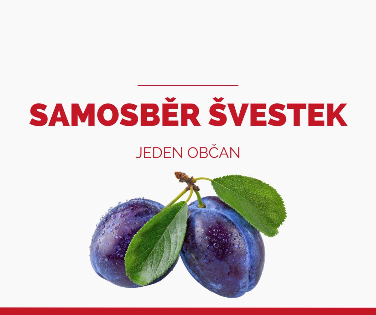Pro více informací volejte nebo piště od 9:00 - 13:00 na číslo 737 419 548.