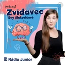 Mořští klauni umí používat nástroje. Proč papuchalků ubývá?