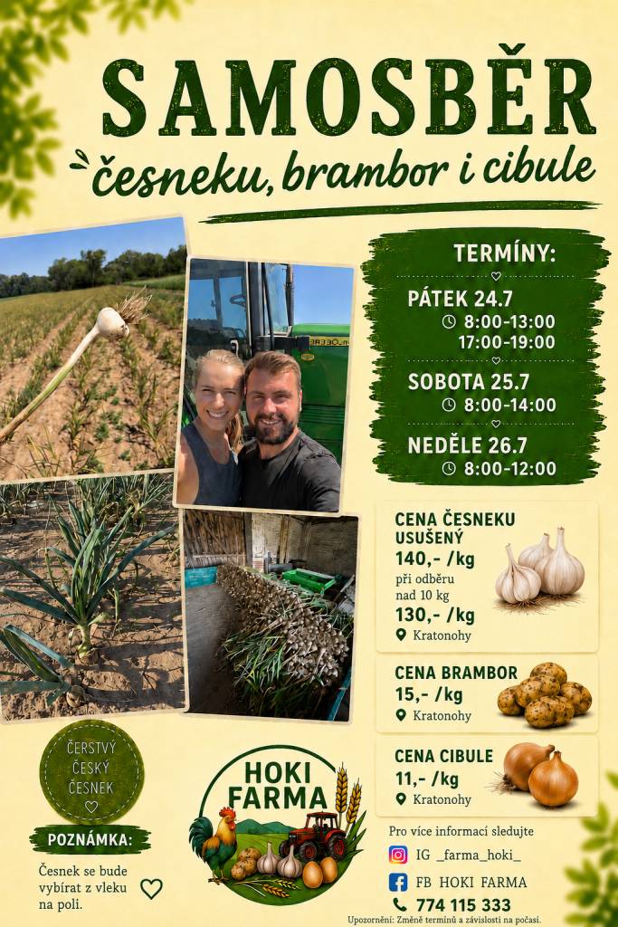 Samosběr zeleniny v Kratonohách