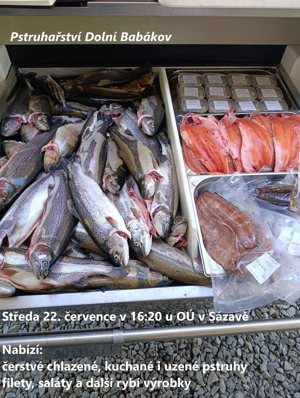 Ve středu 22. 7. v 16:20 u OÚ v Sázavě prodej čerstvých chlazených pstruhů. V nabídce: kuchaní a uzení pstruzi, rybí filety, saláty a další rybí výrobky