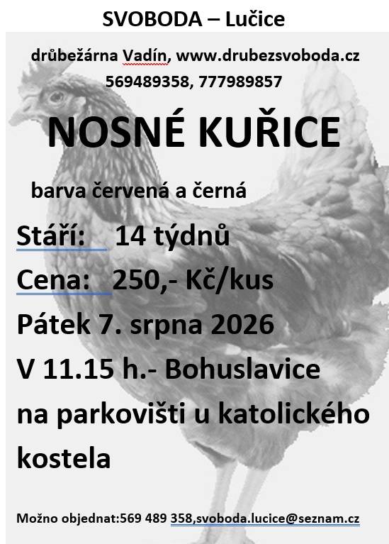 Prodej nosných kuřic