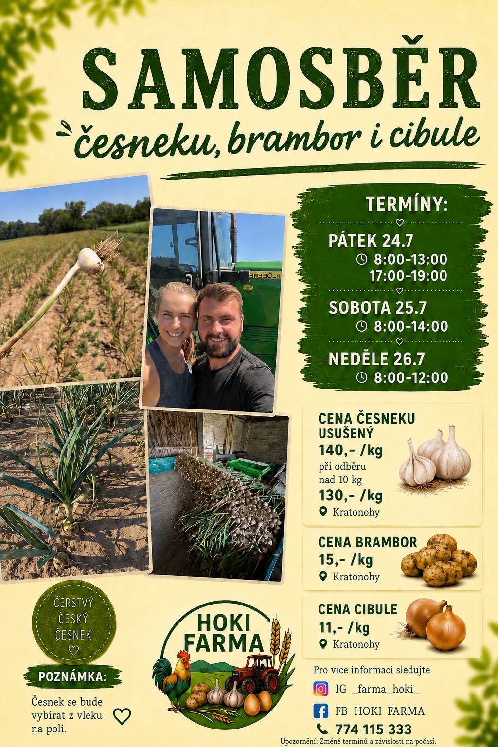 Samosběr česneku, brambor a cibule probíhá od pátku 24.7. do neděle 26.7. 2026.