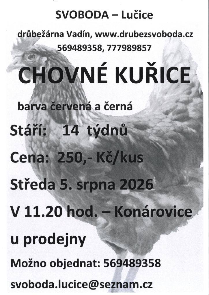 Drůbežárna Svoboda Lučice přijede 5.8.2026 v 11:20 Na Rynku prodávat chovné kuřice, barva červená a černá, stáří 14.týdnů, cena 250,-Kč/kus. Objednávky na tel.č.569 489 358.