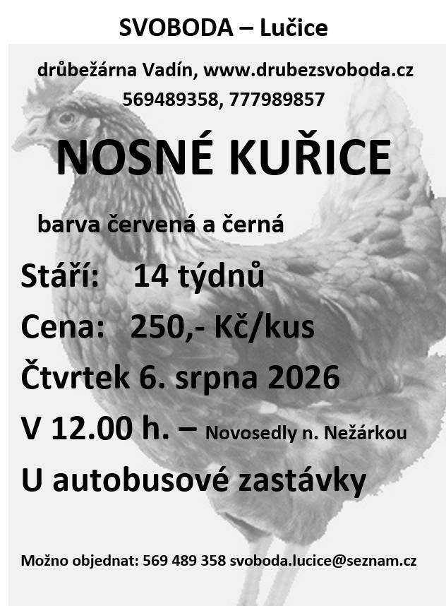 Prodej nosných kuřic