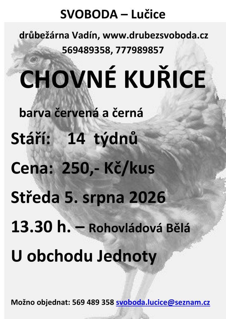 Ve středu 5.srpna 2026 od 13:30 budou u prodejny Jednoty k prodeji chovné kuřice barvy červené a černé, stáří 14 týdnů, cena 250,-Kč/kus. Kontakty najdete v přiloženém letáku.