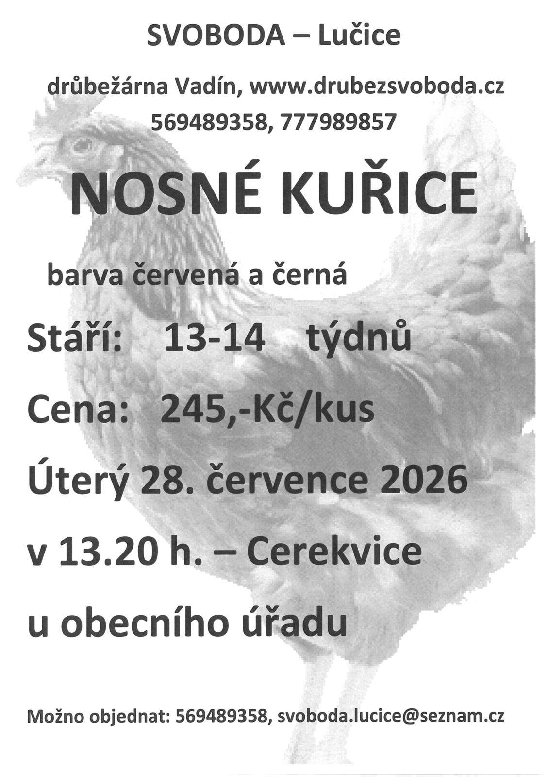 Firma Svoboda Lučice bude prodávat v úterý 28. července 2026 v 13.20 hodin u OÚ   nosné kuřice, stáří 13 - 14 týdnů, cena 245,- Kč/kus, barva červená a černá    Objednání je možné na  tel. 569 489 358 nebo emailem svoboda.lucice@seznam.cz