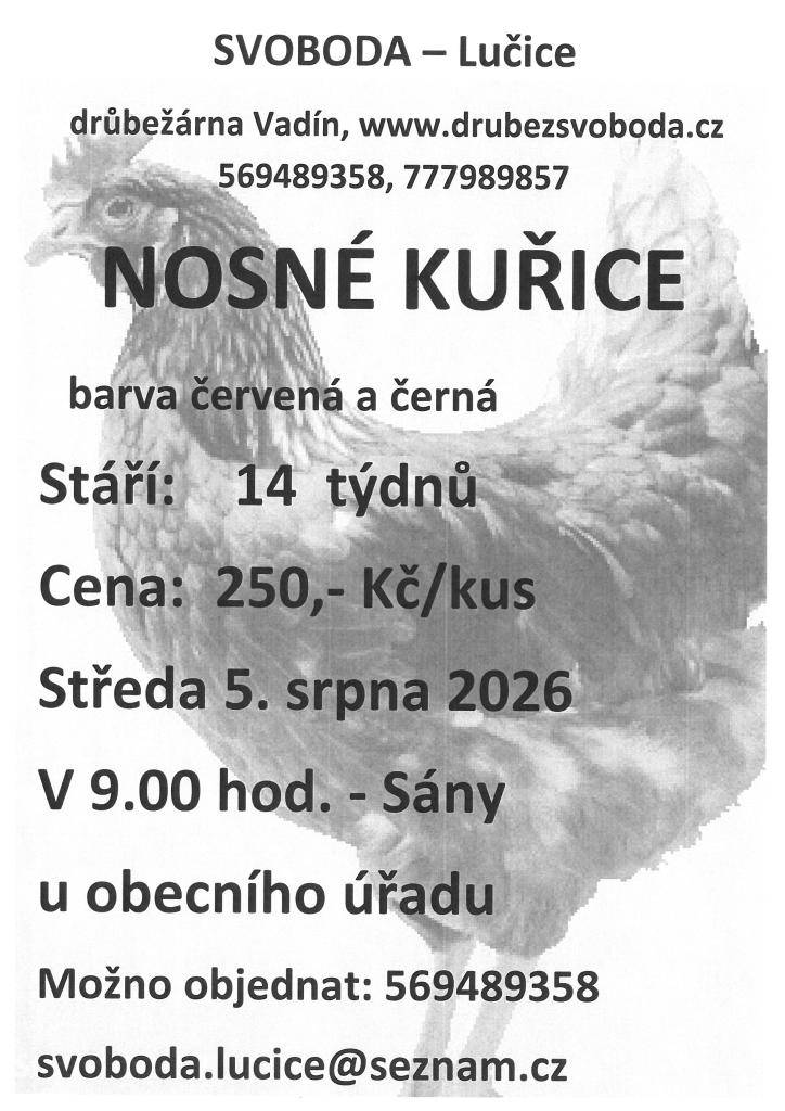Ve středu 5. srpna 2026 v 9.00 hodin bude u Obecního úřadu Sány probíhat prodej nosných kuřic od drůbežárny Svoboda – Lučice.