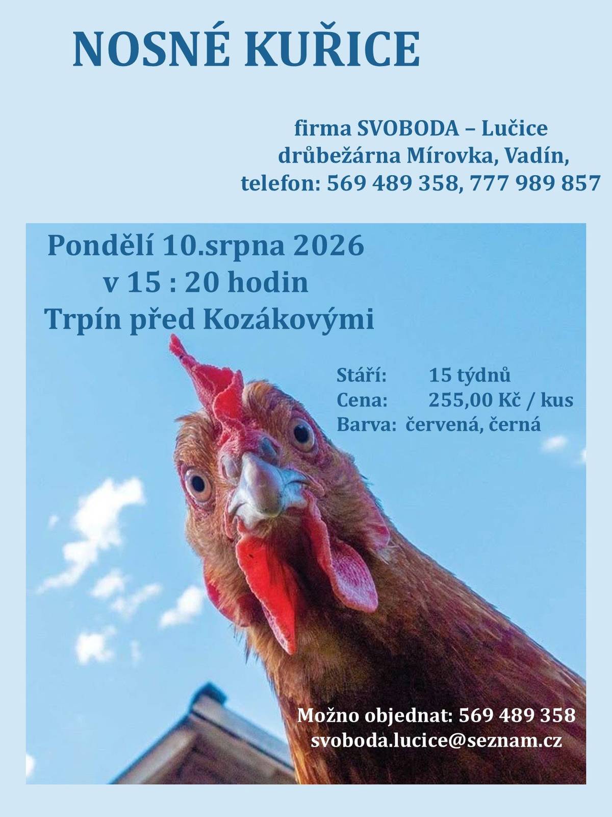 Firma Svoboda Lučice bude prodávat v pondělí 10. srpna 2026 v 15:20 hodin před Kozákovými nosné kuřice, stáří 15 týdnů, cena 255,00 Kč/kus, barva červená a černá.  Objednání je možné na  tel. 569 489 358
