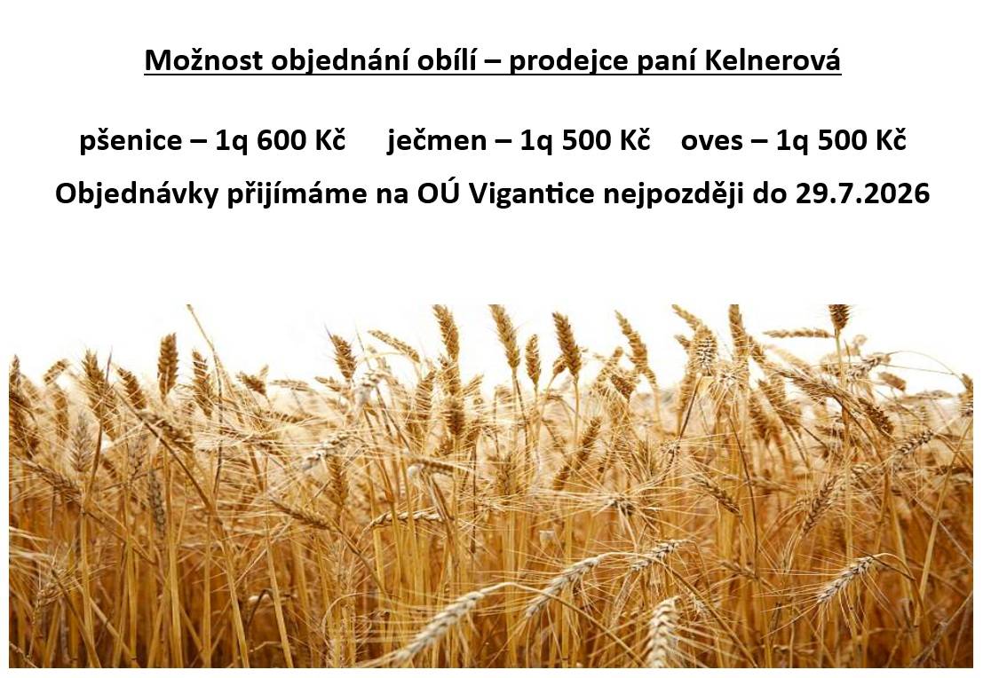 Obec Vigantice informuje o možnosti objednání obilí od paní Kelnerové. Objednávky směřujete na Obecní úřad Vigantice nejpozději do 29. července 2026.