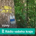 Zámek Plumlov byl velkolepým snem Lichtenštejnů. Nedokončenost mu dává nezaměnitelnou podobu