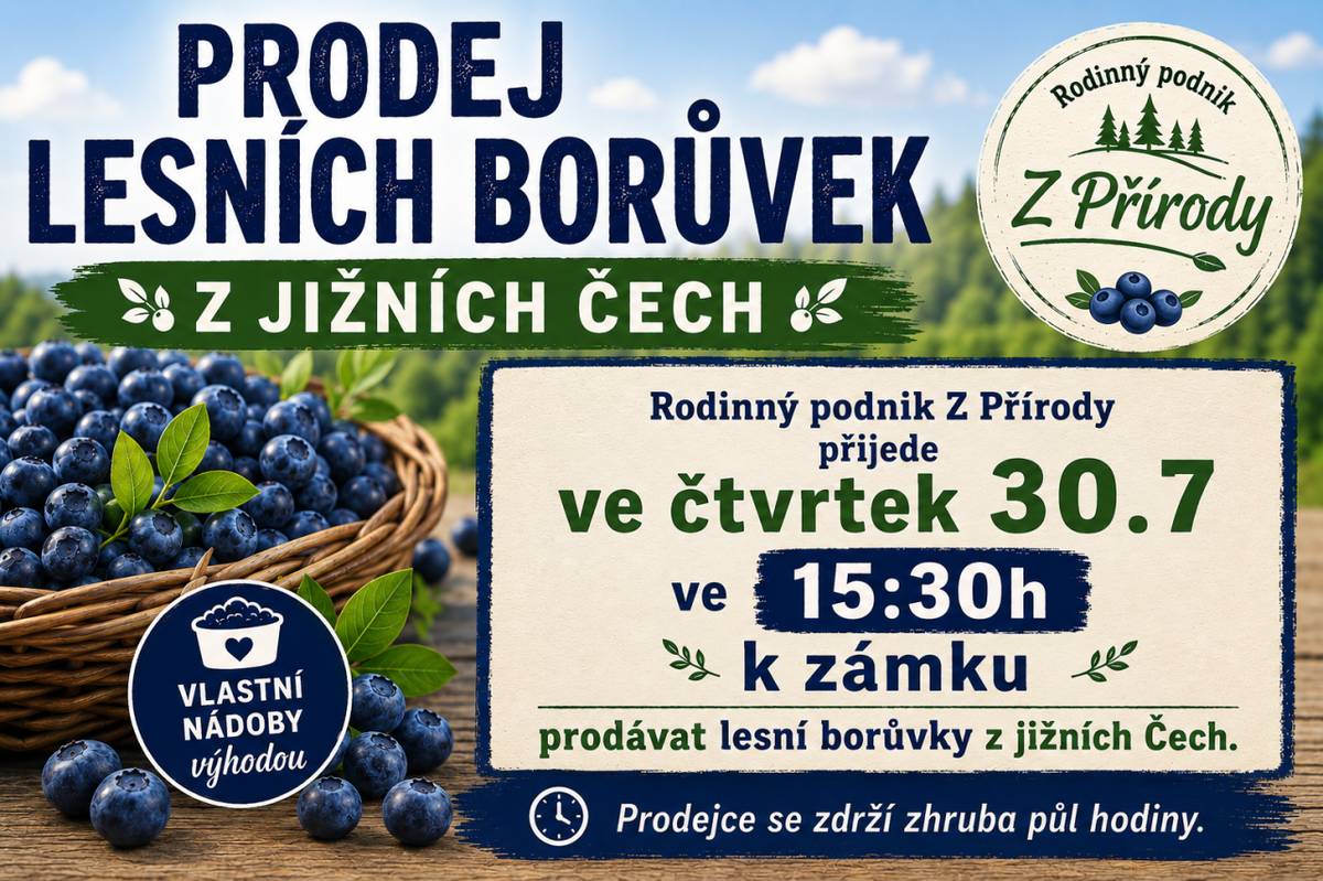 Prodej lesních borůvek u zámku
