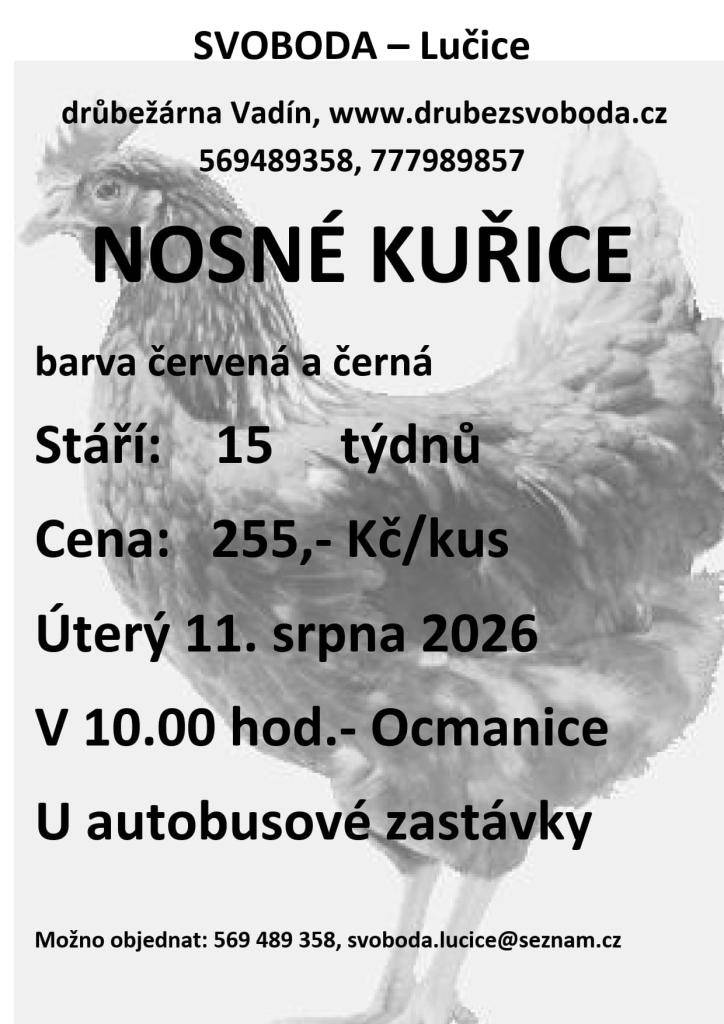 V úterý 11. srpna 2026 se v Ocmanicích uskuteční prodej nosných kuřic.