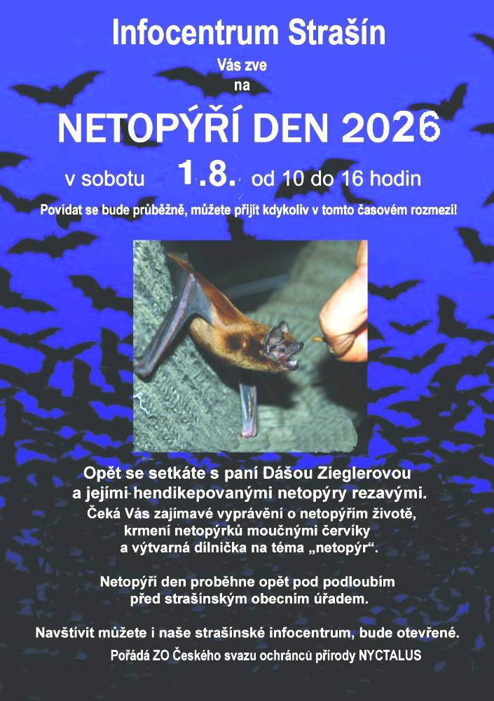 Netopýří den v sobotu 1. srpna od 10:00 - 16:00 hodin v podloubí obecního úřadu ve Strašíně.