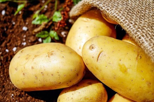 Místní pěstitel bude ve čtvrtek 30.7.2026 v 9: 00 hodin na návsi v Nížkově prodávat rané brambory. Baleno po 10 kg, cena 15Kč za 1kg. NIROS Nížkov.
