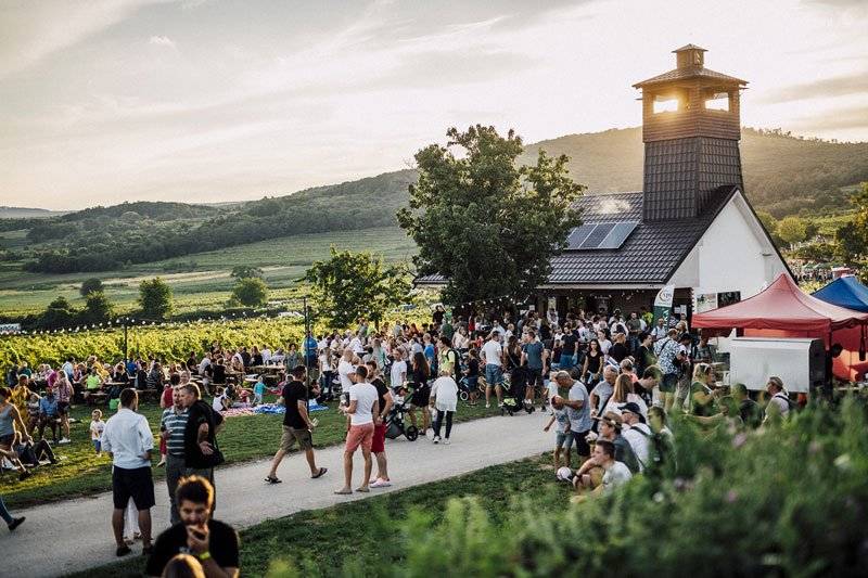 Pezinské vinohrady pod Starou horou opäť ožijú jedným z najobľúbenejších letných podujatí leta. Festival Víno pod hviezdami sa uskutoční už v piatok 31. júla a v sobotu 1. augusta a prinesie dva dni plné skvelého vína, hudby a príjemnej atmosféry. 🌿       🎤 Tešiť sa môžete na desiatky slovenských vinárstiev, bohatú gastro zónu aj pestrý hudobný program. Na pódiách vystúpia napríklad Peter Lipa & Band, Medial Banana, Monkey Business, Dub FX, David Koller, Polemic, Emma Drobná, Strapo & Bitman, A.M.O. a mnohí ďalší.        Ak ešte nemáte plány na víkend, vinohrady v Pezinku sú skvelou voľbou. 🍇       Viac informácií o programe nájdete na oficiálnej stránke festivalu 👉 https://vinopodhviezdami.sk/