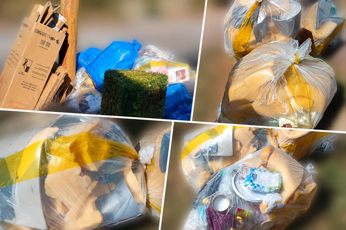 Při úterním svozu tříděného odpadu bylo zjištěno několik opakujících se problémů, které komplikují svoz i následné zpracování odpadu.  V některých pytlích určených na plasty se objevoval odpad, který do této nádoby nepatří. Jednalo se například o:  - molitan a pěnové materiály, - gumové a silikonové hadice, - plastové hračky s kovovými nebo jinými pevně spojenými součástmi, -další vícesložkové výrobky, které nelze považovat za plastový odpad.  Takový odpad patří do popelnic.  Stejně tak při svozu papíru není možné odvážet volně ložené kartonové krabice, které nejsou svázané, ani krabice větší než velikost běžného pytle. Tyto velké kartony ztěžují manipulaci při nakládce. Takové kartóny můžete ZDARMA odevzdat na Sběrném dvoře.   🙏 Prosíme všechny občany, aby tato pravidla dodržovali.  Pytle nebo kartony, které nebudou splňovat uvedené podmínky, nebudou při svozu odvezeny.  Děkujeme všem, kteří odpad pečlivě třídí. Díky vaší spolupráci může systém svozu fungovat rychle, bezpečně a efektivně.