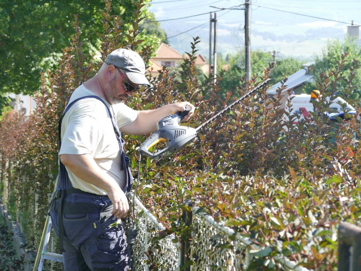 Revitalizácia zelene pripsieva k dôstojnému vzhľadu pietneho miesta