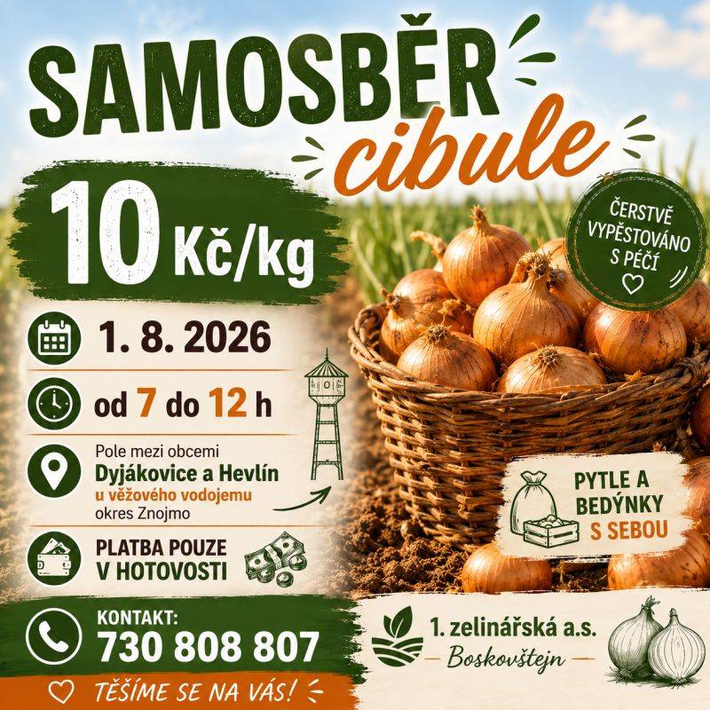 Firma 1. zelinářská zahajuje v sobotu 1. 8. 2026 od 7 do 12 hod. samosběr žluté cibule ze své produkce. Cena 10 Kč/kg. Místo samosběru: pole mezi obcemi Dyjákovice a Hevlín, u věžového vodojemu. Vlastní pytle a bedýnky s sebou.