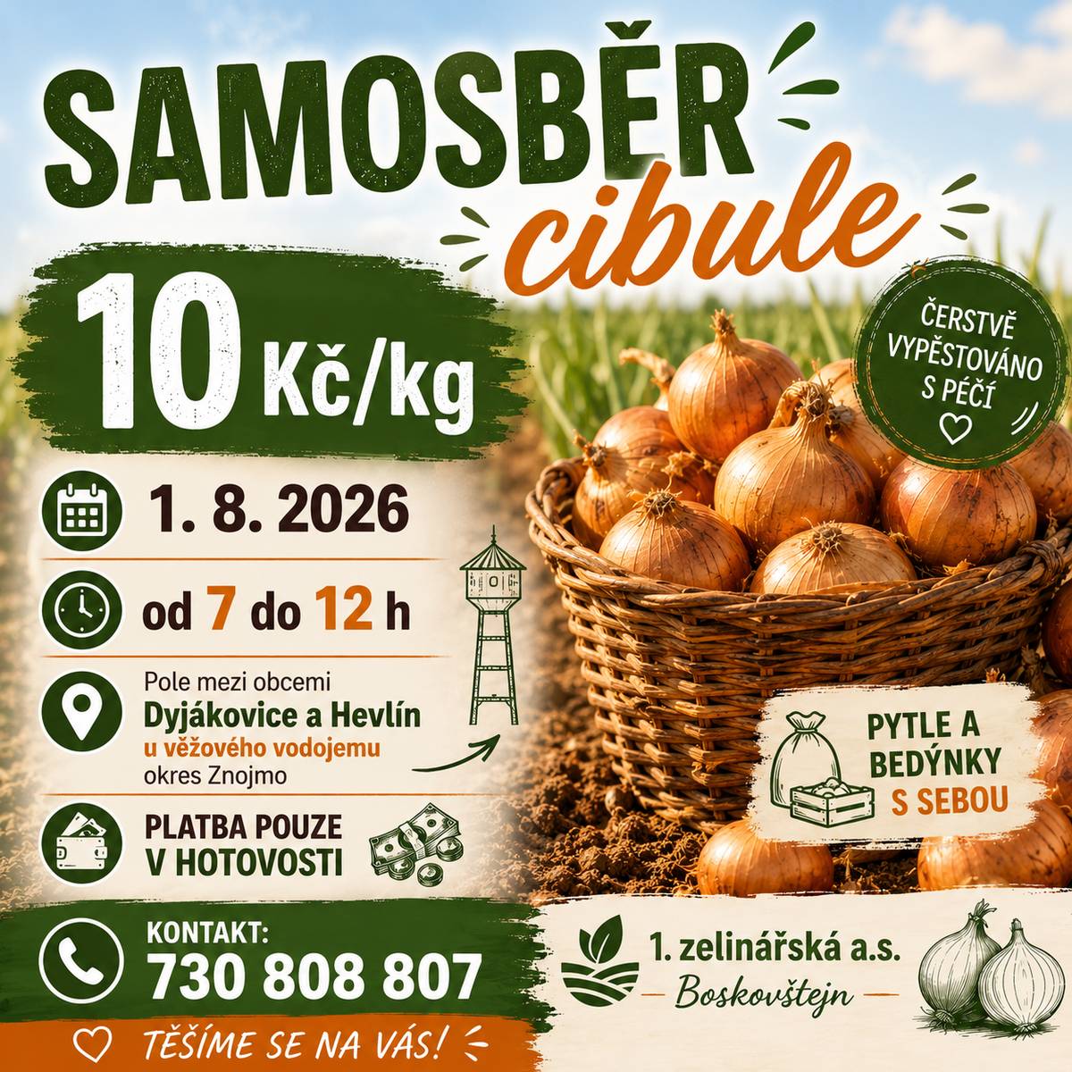 Zelinářská firma zahajuje v sobotu 1.8. od 7 do 12 h, samosběr žluté cibule. Cena 10Kč/kg. Místo samosběru: pole mezi obcemi Dyjákovice a Hevlín, u věžového vodojemu. Vlastní pytle a bedýnky s sebou.