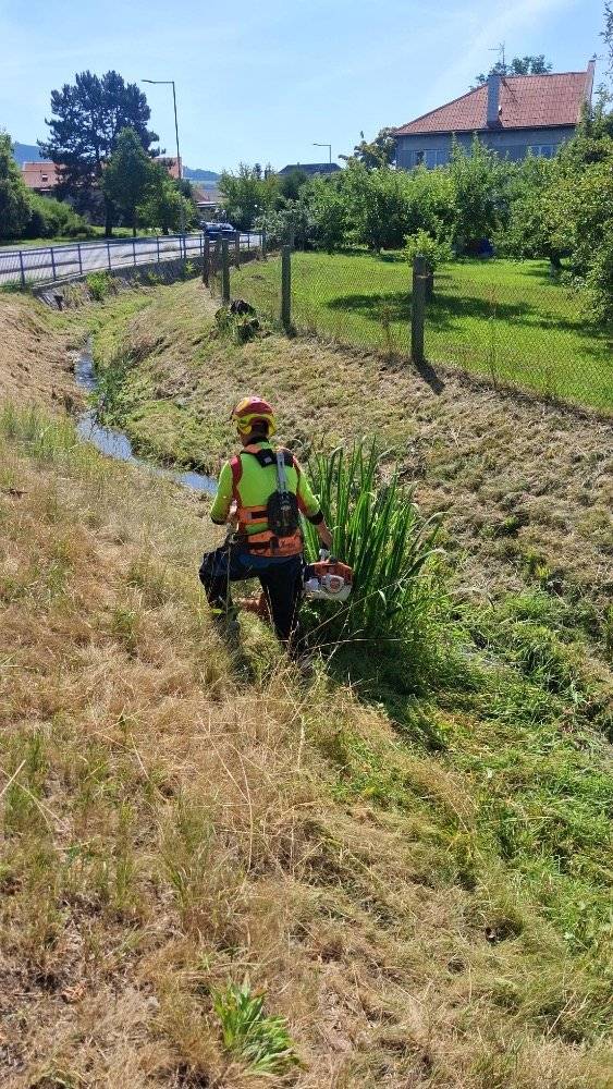 Vážení spoluobčané, v současné době probíhá první etapa údržby břehů Malínského potoka, jedná se o sečení porostu, práce budou probíhat do konce července. Realizaci provádí společnost Kompletní údržba zeleně z Postřelmova. Na podzim je plánována druhá etapa, tj. prořezávka a kácení náletových dřevin v korytě potoka. V případě dotazů se obracejte na technika OÚ Ing. Vladimíra Faltuse, tel.: 731 147 883.   Údržba se provádí na základě kontrolních protipovodňových prohlídek, které probíhají 2x ročně za přítomnosti zástupců obce, Lesů ČR a dle potřeby zástupce odboru životního prostředí MěÚ Šumperk. V údržbě potoka včetně odstranění invazivních rostlin - křídlatky, bude obec ve spolupráci s Lesy ČR systematicky pokračovat i v dalších letech.