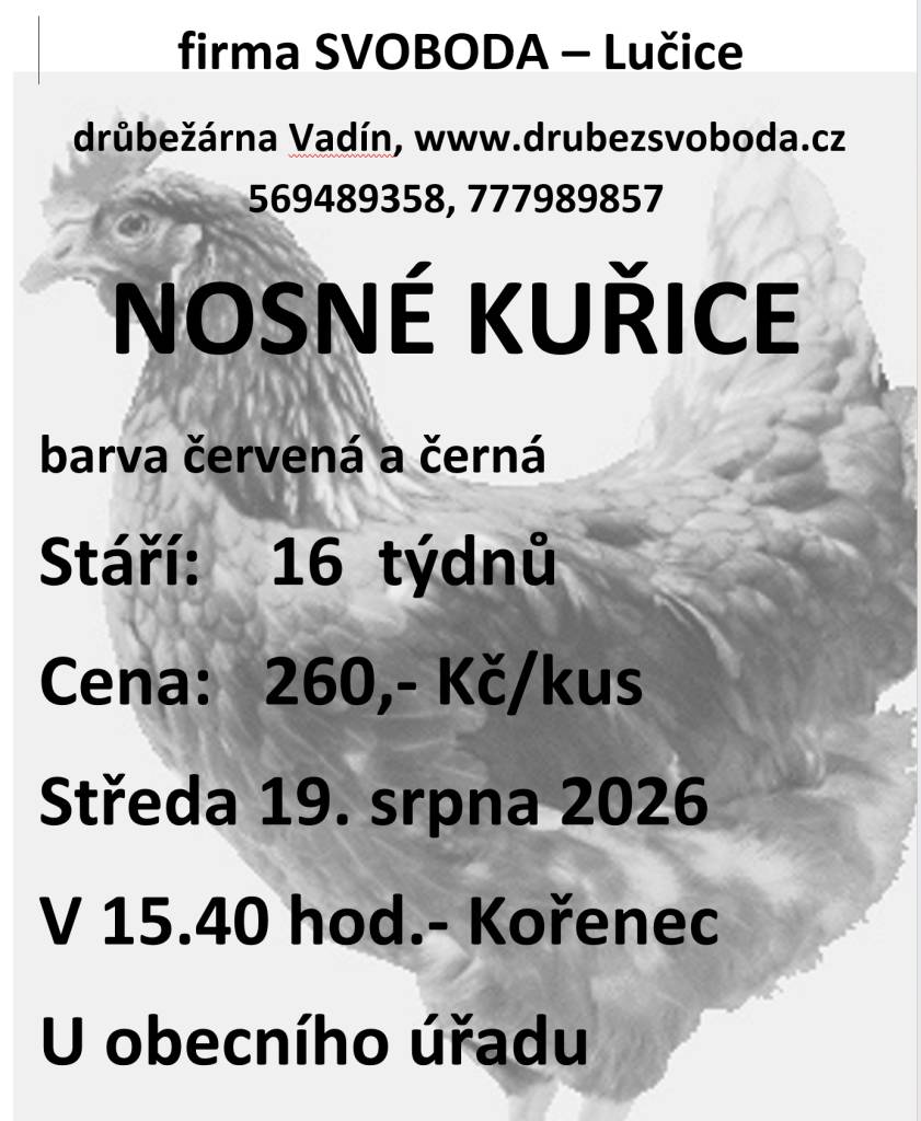 Prodej kuřic ve středu 19. srpna 2026 v 15.40 hodin u OÚ