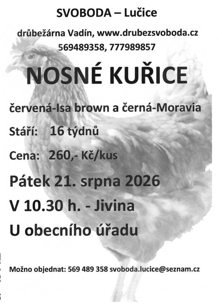 Prodej kuřic ja Jivině