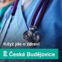 Chcete, aby vám mozek dlouho dobře sloužil? Luštěte křížovky a nabourávejte zažité stereotypy