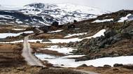 Trip Norsko 2026, Rallarvegen