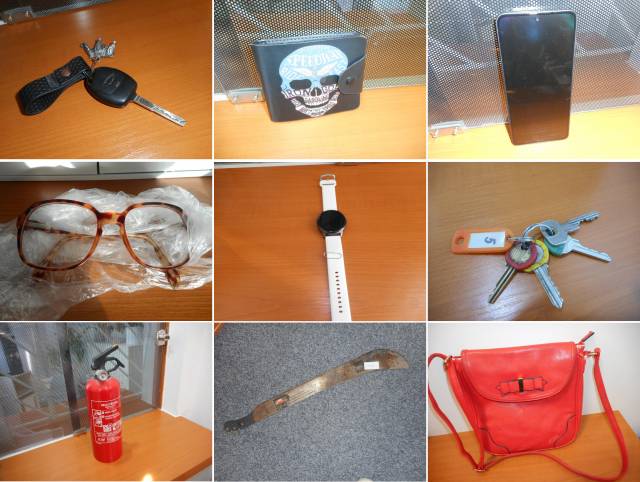 Klíče od bytu i od auta, mobilní telefony, peněženky, batohy, brýle, hodinky, jízdní kola – ale také mačeta. Tak vypadá letošní přehled věcí, které lidé našli na území Přerova a odevzdali je do evidence ztrát a nálezů. Z veřejně dostupné databáze na webu města je aktuálně dohledatelných sto letošních záznamů.                               Číst dál...